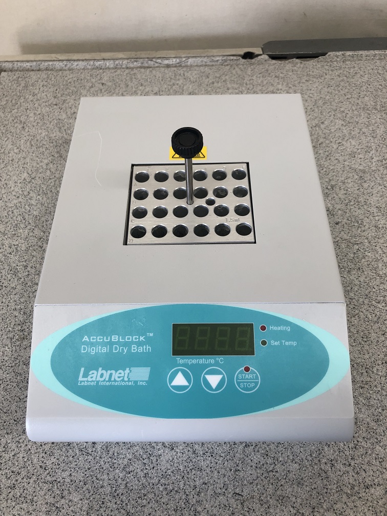 Labnet D1100 AccuBlock Digital Dry Bath