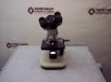 LW Scientific Student Microscope